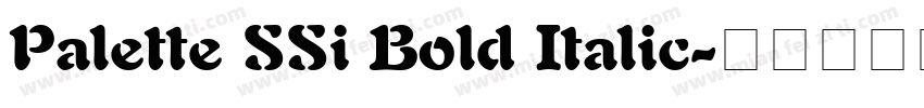 Palette SSi Bold Italic字体转换